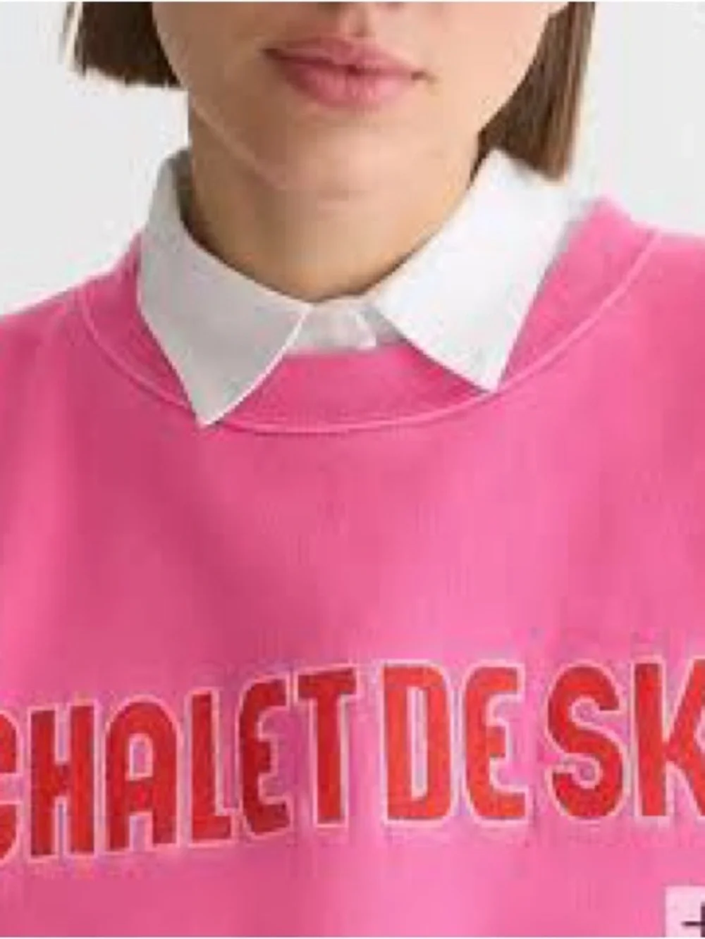 J. Crew Heritage Fleece Chalet de Ski Graphic Sweatshirt in Regal Rose Small